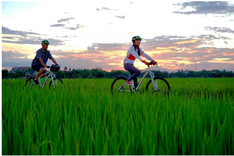 Danh sách các địa chỉ cho thuê xe đạp Đà Nẵng nổi tiếng nhất hiện nay