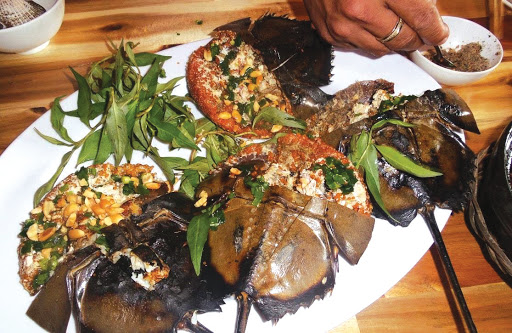 Sam biển là một trong những món đặc sản mang đậm hương vị biển Trà Cổ