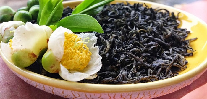 Chè Shan Tuyết đặc sản Yên Bái nổi tiếng cả nước