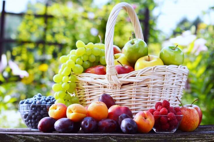 Trái cây là một trong những thực phẩm không thể thiếu khi đi picnic