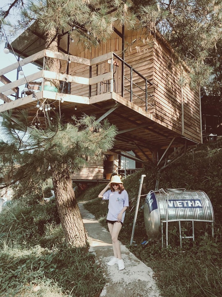 Ngôi nhà trên cây cực kỳ độc đáo tại Tam Đảo đang chờ đón du khách