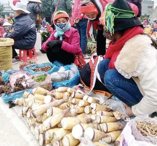 Người bản bầy bán Măng Đắng rất nhiều ở chợ