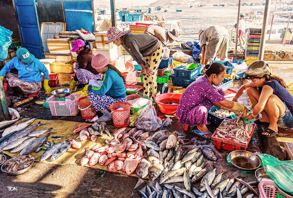 Những phiên chợ hải sản tấp nập tại Cửa Lò
