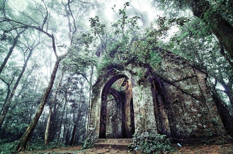 Nhà thờ cổ ở rừng quốc gia Ba Vì