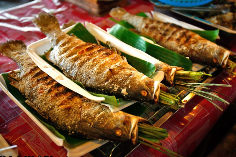 Cá suối - món ăn đặc sản bạn nên thử nhất khi đi du lịch Mộc Châu