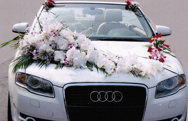 Xe cưới thương hiệu Audi
