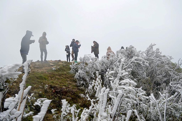 Cảnh hoa tuyết đẹp lung linh tại đỉnh Mẫu Sơn 