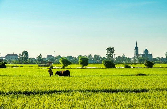 Thái Bình có khá nhiều bãi biển đẹp thu hút du khách