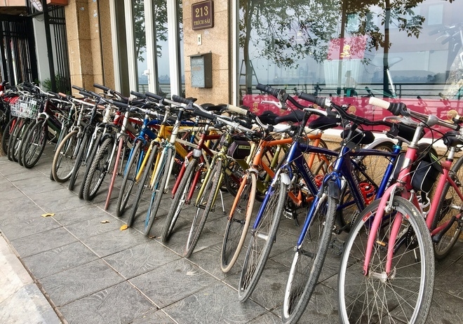 Bike Plus cho thuê các loại xe đạp khác nhau